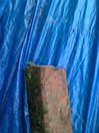 shannonbridge cap-1261.jpg